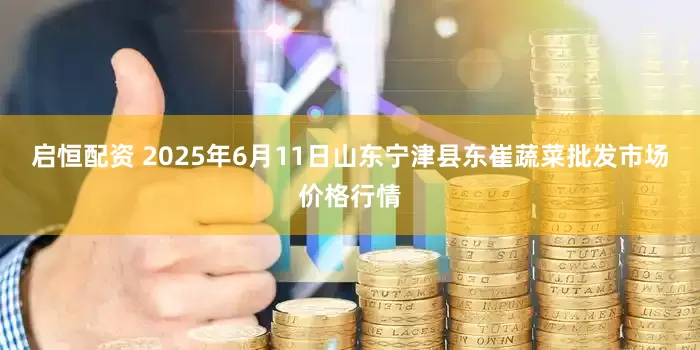 启恒配资 2025年6月11日山东宁津县东崔蔬菜批发市场价格行情